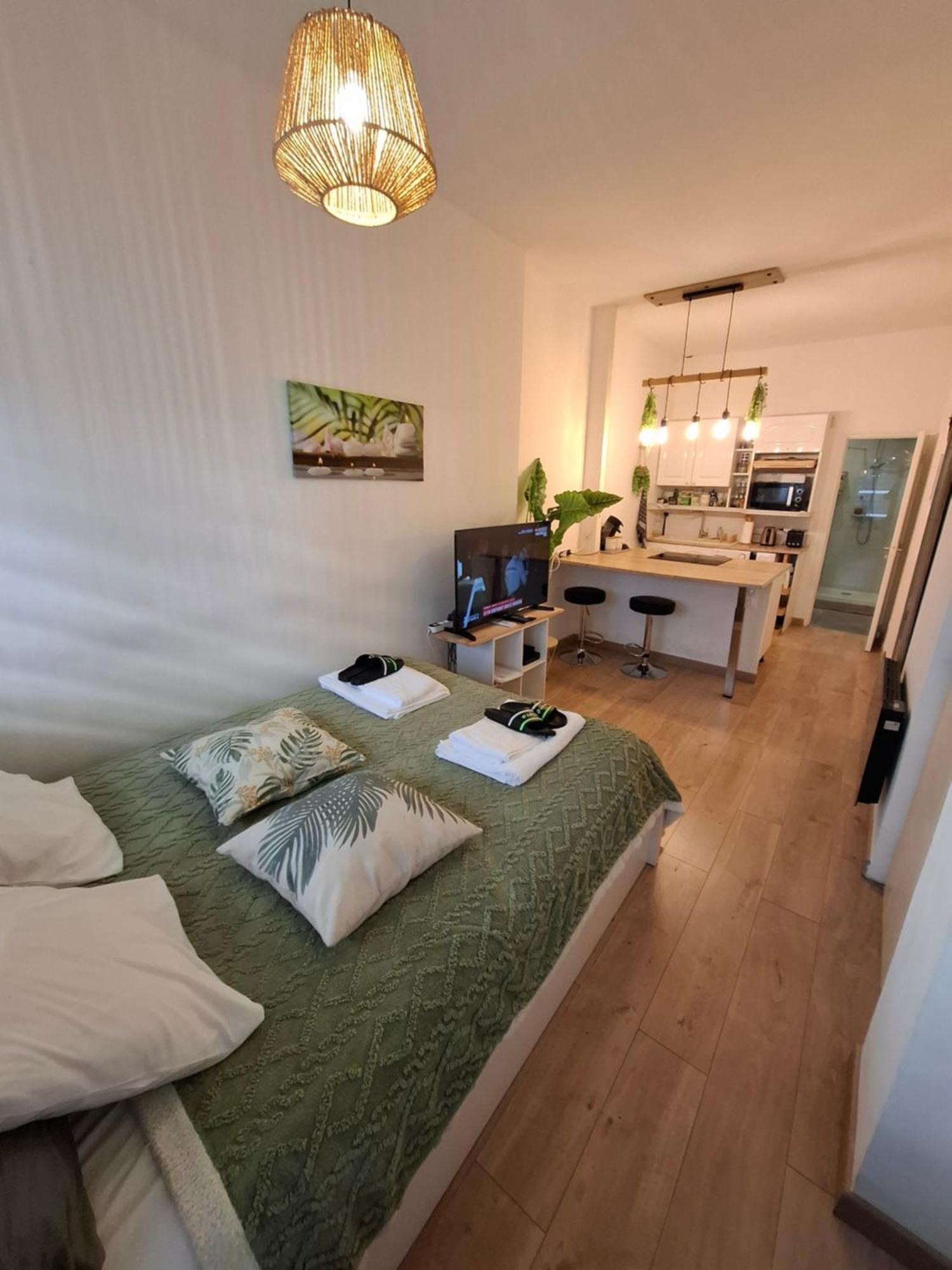 Studio La Casa De Planel Gare Saint Roch มงต์เปอลิเยร์ ภายนอก รูปภาพ